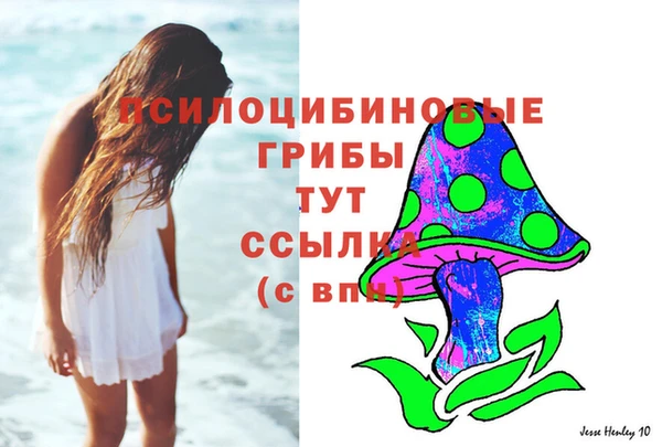 ГАЛЛЮЦИНОГЕННЫЕ ГРИБЫ Абдулино
