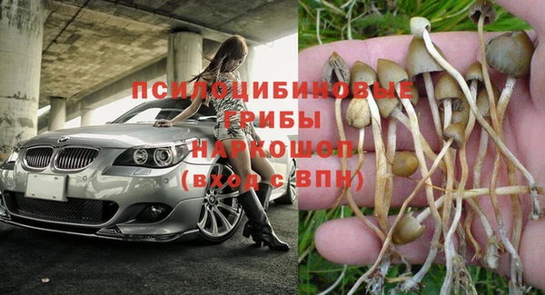 ГАЛЛЮЦИНОГЕННЫЕ ГРИБЫ Абдулино