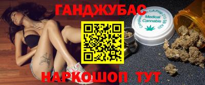 гашик Дубна