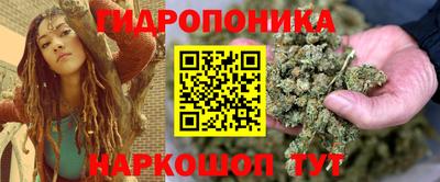 гашик Дубна