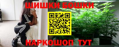 гашик Дубна