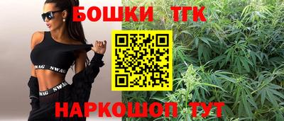 гашик Дубна
