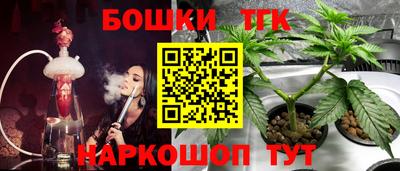 амф Донской
