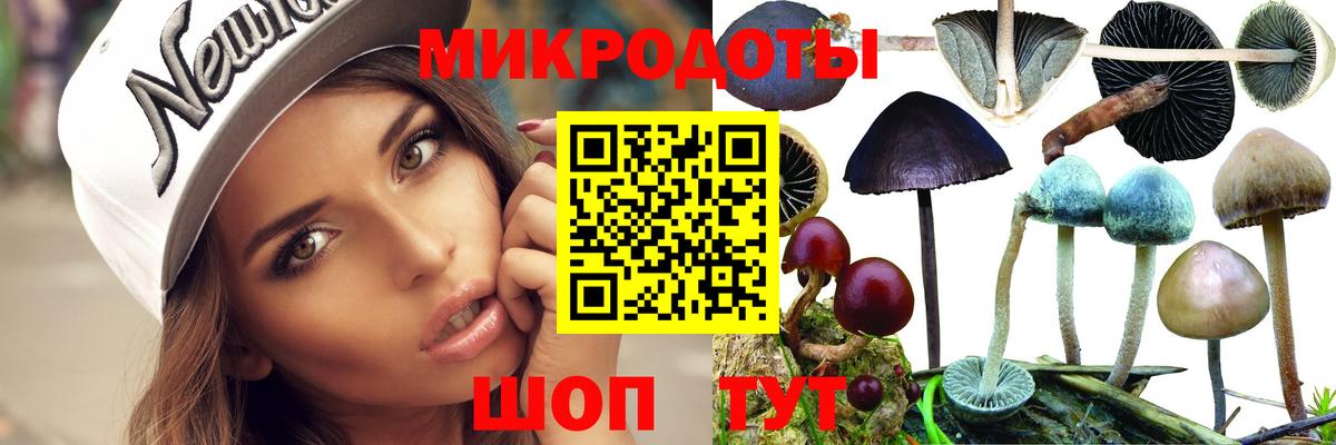 Псилоцибиновые грибы Psilocybine cubensis Электросталь