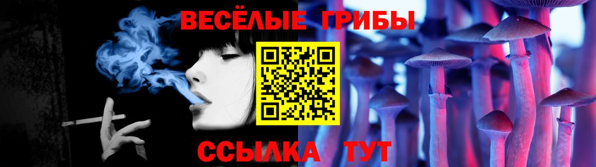 Псилоцибиновые грибы мицелий  Псилоцибиновые грибы Magic Shrooms  Электросталь  Вход с VPN 